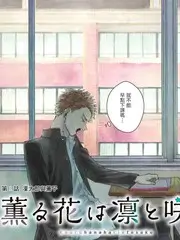 城市猎人计划综艺在线看